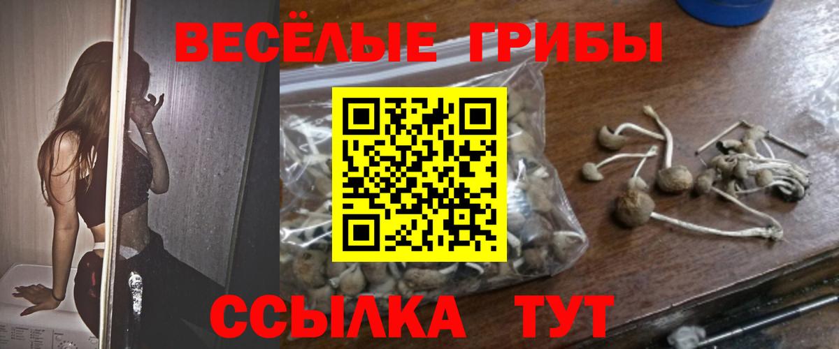 Галлюциногенные грибы мицелий Орехово-Зуево